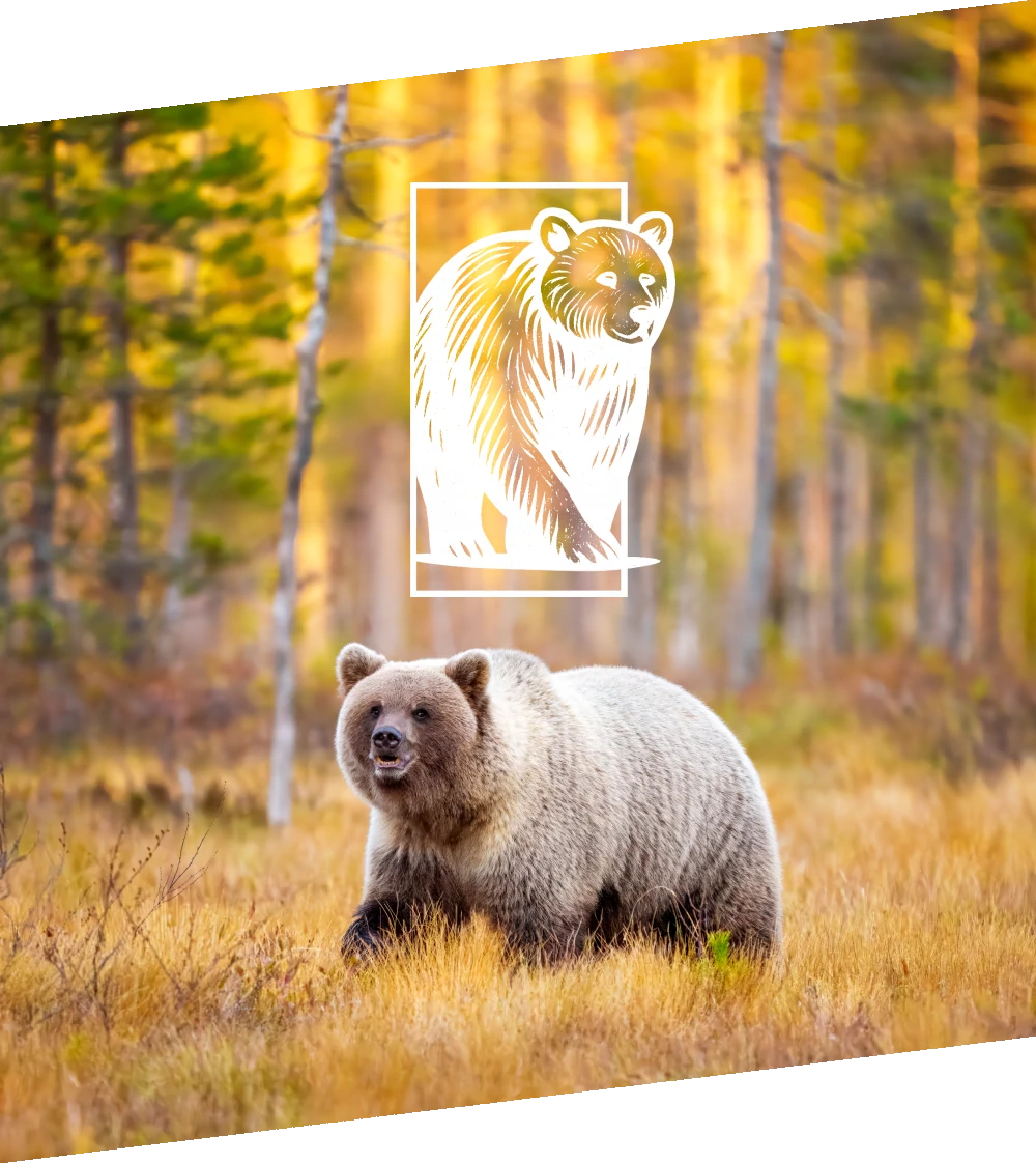 PhotosAnimauxSauvages.com - Boutique en ligne sur mesure réalisée par Countea Applications